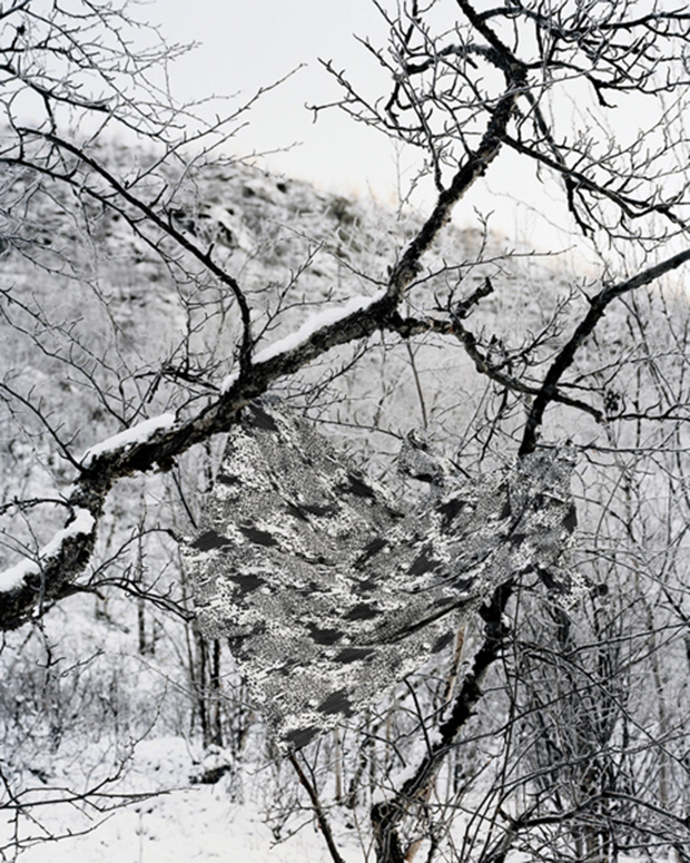 9033_53CamouflageIII