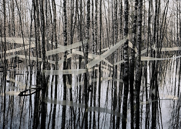 artwork_images_425934435_822162_riitta-paivalainen