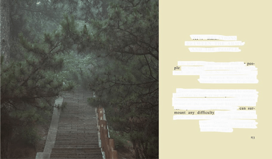 13-SURMOUNT-DIFFICULTYb