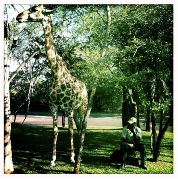 Captura-de-pantalla-2014-04-15-a-la(s)-10.22.05