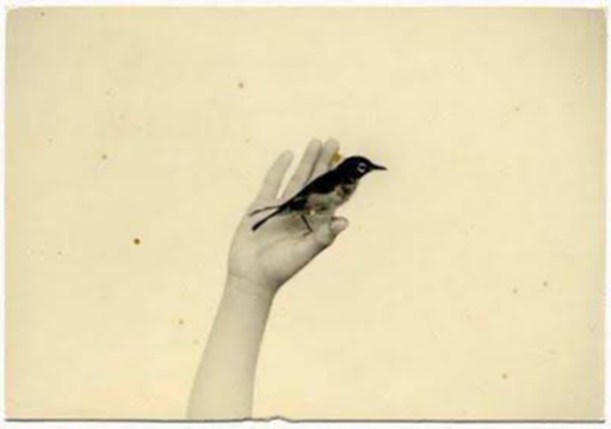 1622257_741025352574575_1629321128_n