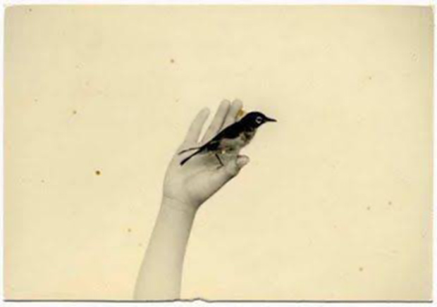 1622257_741025352574575_1629321128_n