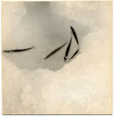 Captura-de-pantalla-2014-05-05-a-la(s)-20.53.14