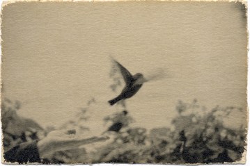 Captura-de-pantalla-2014-05-05-a-la(s)-20.56.01