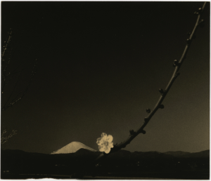 Captura de pantalla 2014-05-05 a la(s) 20.56.27