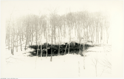 Captura de pantalla 2014-05-05 a la(s) 22.12.46