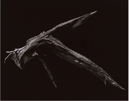 Captura de pantalla 2014-05-05 a la(s) 22.29.50