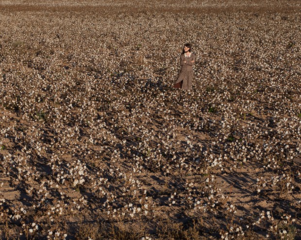 Cotton_inprogress_lowres