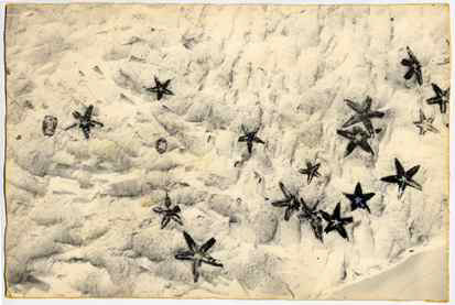 ffdd96b8368b6f2effd070fcbe9a00ef-large