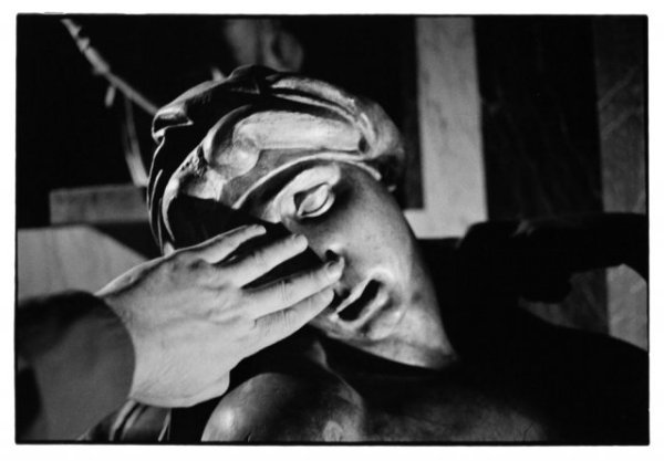 phoca_thumb_l_bavcar_a_close_up_view_centro