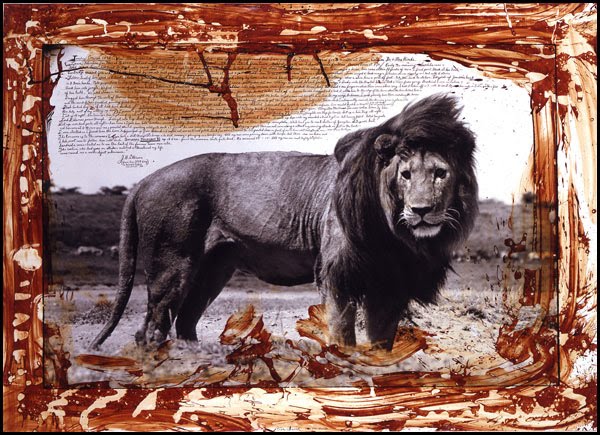 peter_beard_serengeti_lion