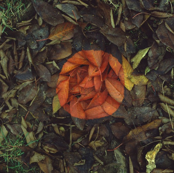 Andy Goldsworthy