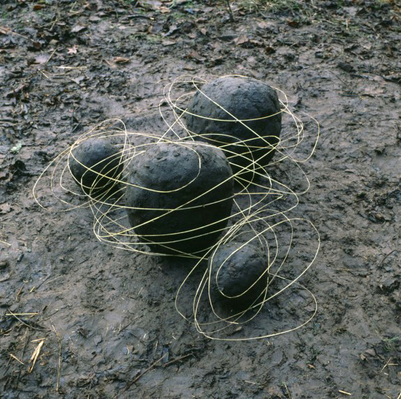 Andy-Goldwworthy-Grass-Stalk-Line-and-Mud-Covered-Rocks-Cumbria-1984-575x572