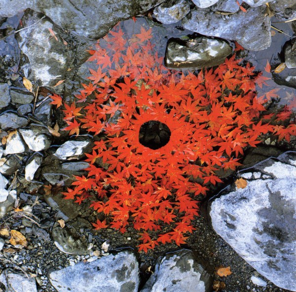 goldsworthy-1