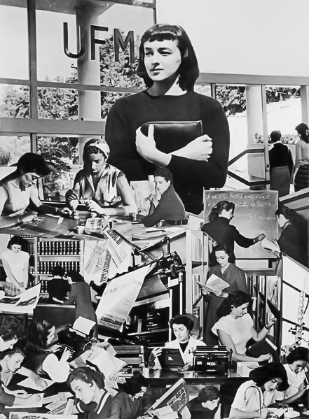 250-1345-thickboxlabravo