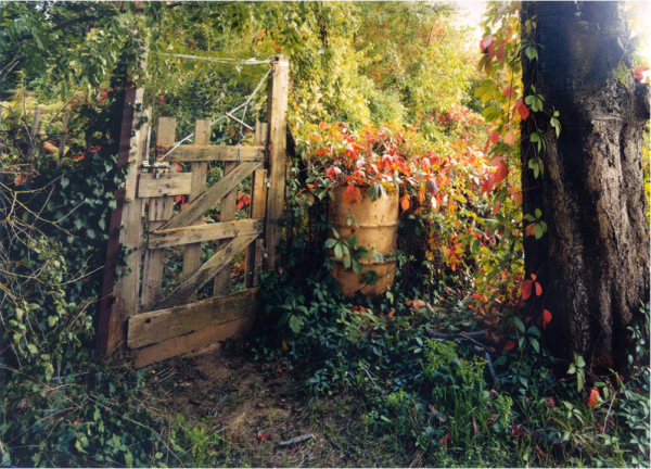 Captura de pantalla 2015-09-01 a la(s) 17.08.45