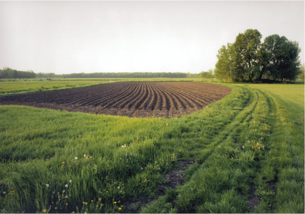 Captura de pantalla 2015-09-01 a la(s) 17.10.12