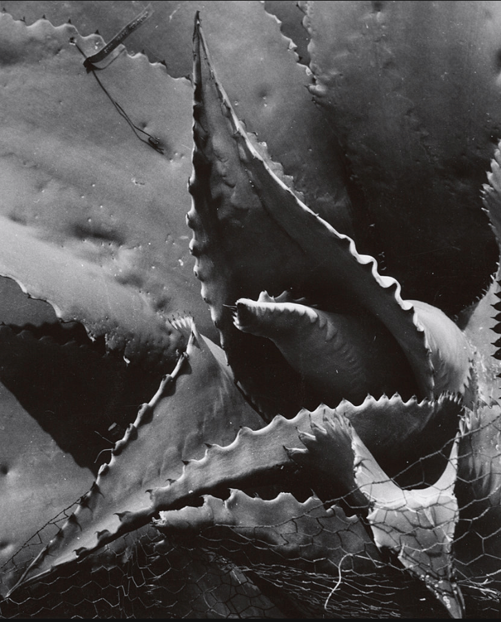 Captura de pantalla 2015-09-18 a la(s) 13.54.42