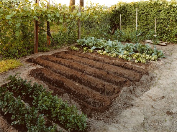 Gewassertes-Beet-Dusseldorf-Kalkum-2004_27