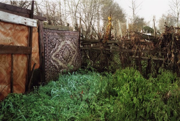 Nieweg_m8470_2003_Teppich Kopie