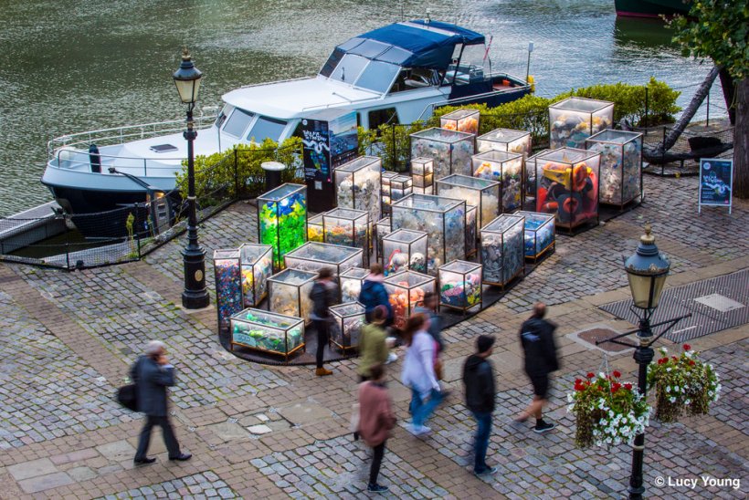 ly01_12-9-17_future_dust+copy